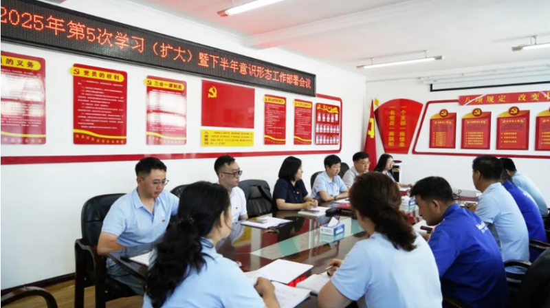 汽貿(mào)公司黨支部對(duì)學(xué)習(xí)教育“回頭看”工作再檢查再部署再推動(dòng)