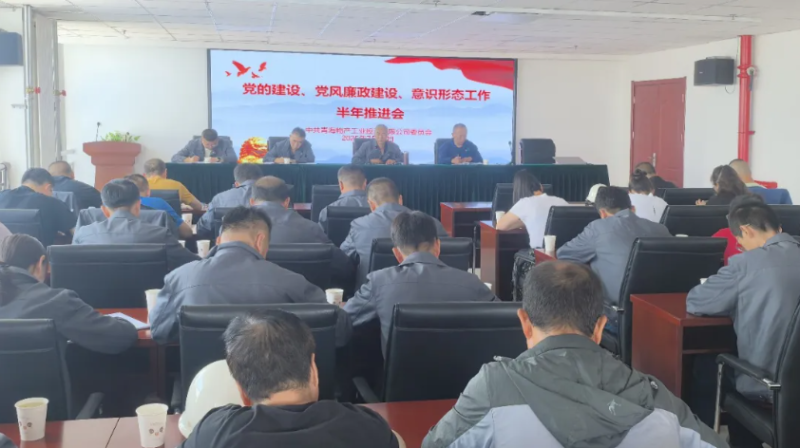工投公司黨委召開黨的建設(shè)、黨風(fēng)廉政建設(shè)、意識形態(tài)工作半年推進(jìn)會(huì)