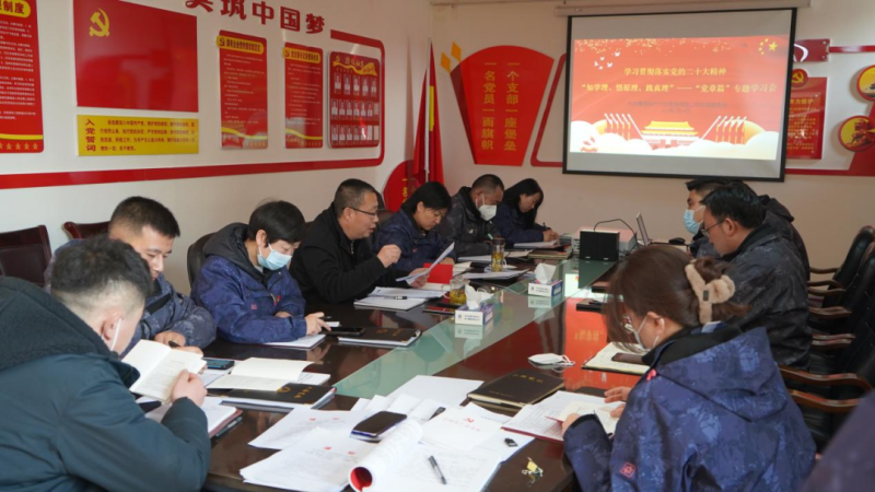 物產(chǎn)汽貿(mào)黨支部召開(kāi)“知學(xué)理、悟原理、踐真理” ——黨章篇”專(zhuān)題學(xué)習(xí)會(huì)